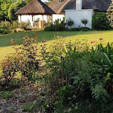 Piccadilly Farm Cottages Lions River 외부 사진