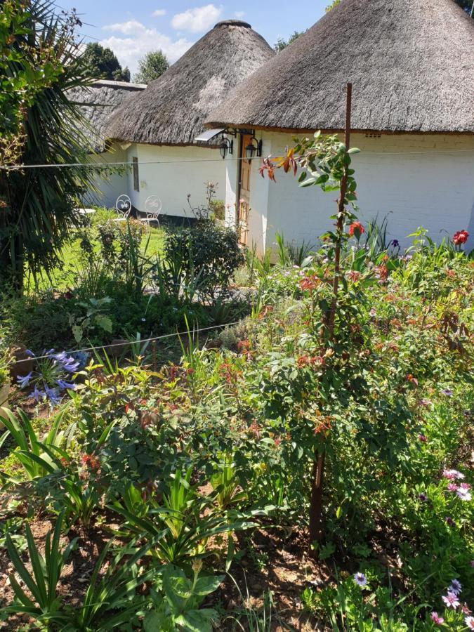 Piccadilly Farm Cottages Lions River 외부 사진