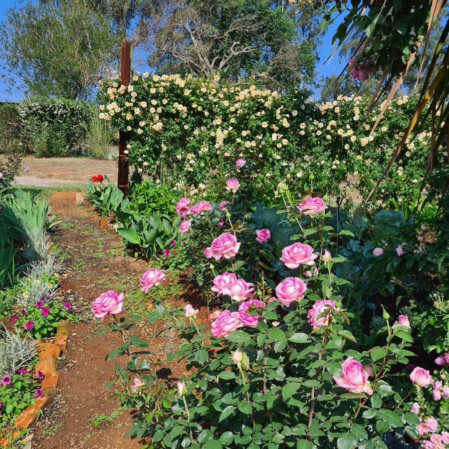 Piccadilly Farm Cottages Lions River 외부 사진