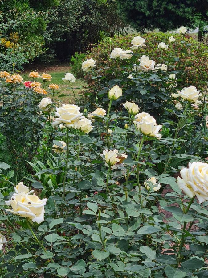 Piccadilly Farm Cottages Lions River 외부 사진
