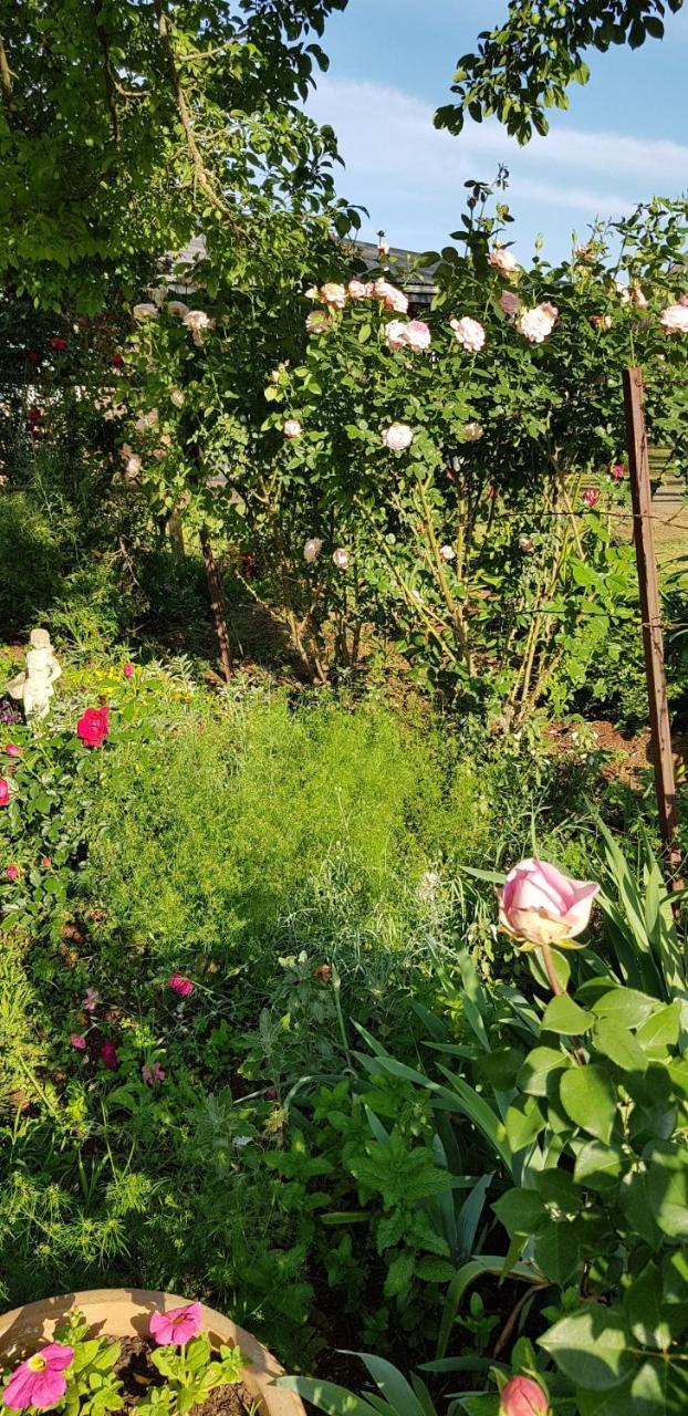 Piccadilly Farm Cottages Lions River 외부 사진