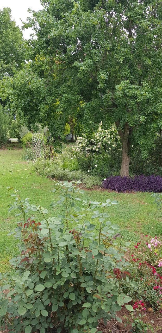 Piccadilly Farm Cottages Lions River 외부 사진